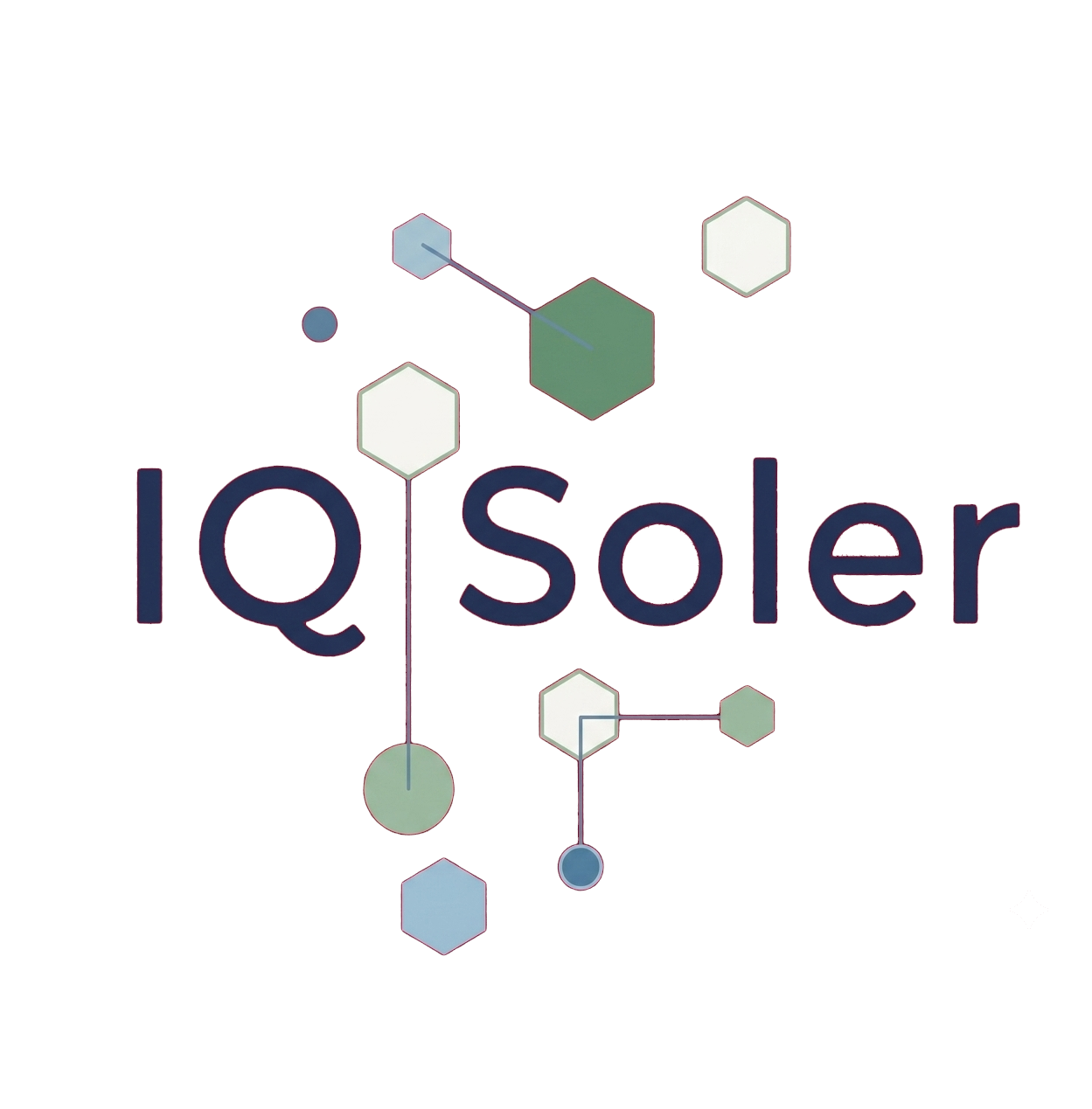 Ingeniería Química Soler